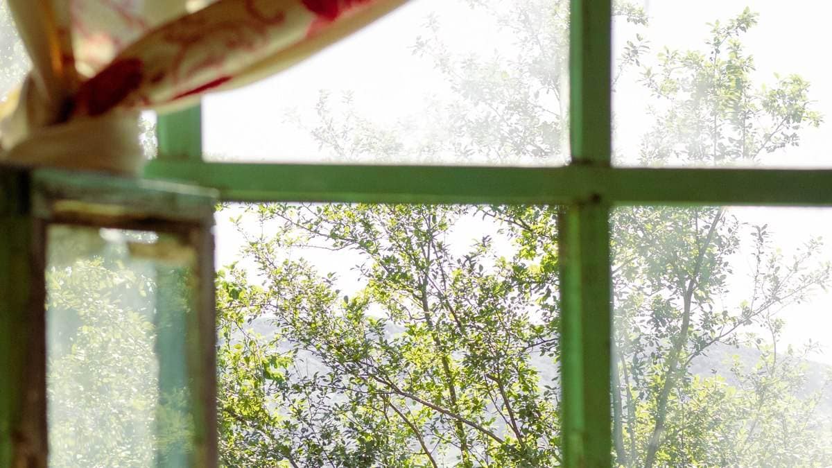 Entspannter Blick durch ein geöffnetes Fenster ins Grüne – Innenschau und seelische Entlastung